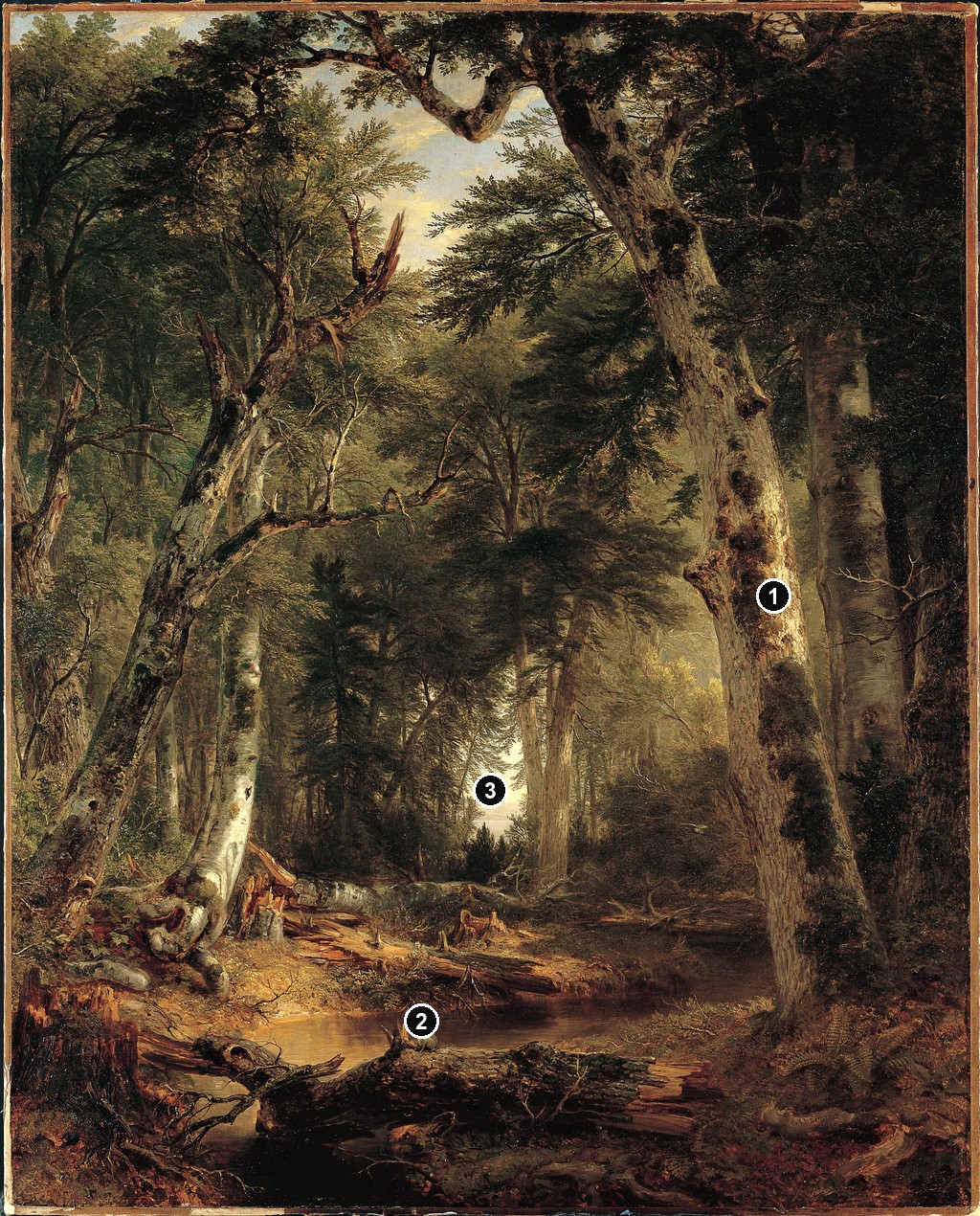 Annotated details from In the Woods by Asher Brown Durand